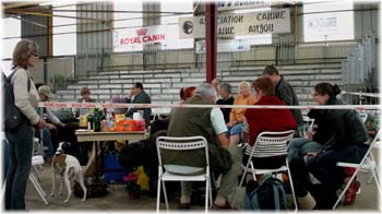 Elevage du CLOS DE LA LUETTE - COPYRIGHT DEPOSE